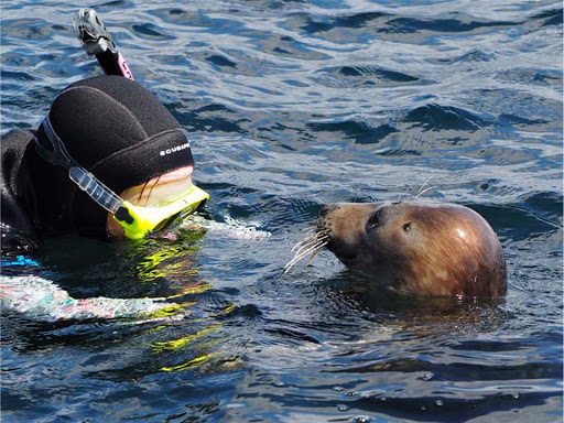 Snorkelling