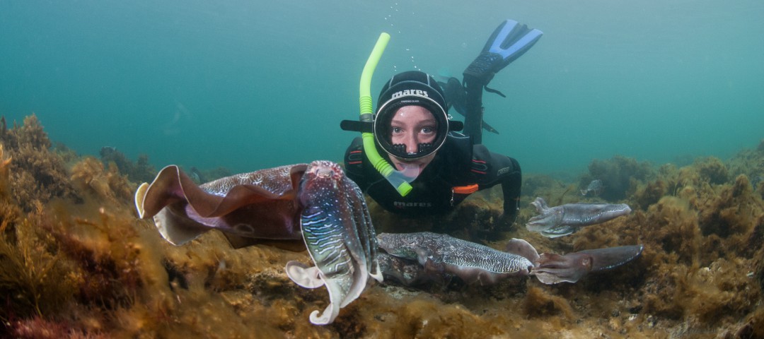 Snorkelling