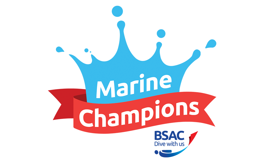 Marine Champions